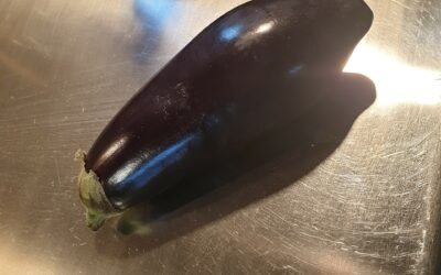 Fakta om Aubergine